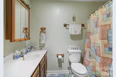 175 Pine Cove Lane, Alexander, NC 28701 - Photo 17