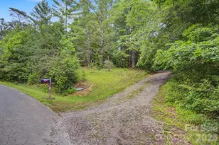 175 Pine Cove Ln, Alexander, NC 28701 - Photo 25