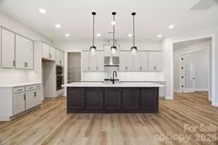 119 Marina Bay Trail, Locust, NC 28097 - Photo 3