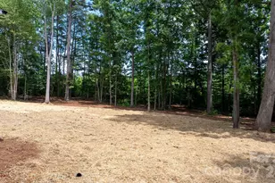 1331 Maiden Wood Cir, Maiden, NC 28650 - Photo 27