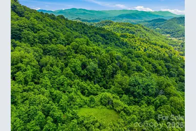 1877 Wilson Cove Road, Canton, NC 28716 - Photo 35