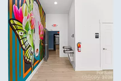 14 Mimidis Lane, Swannanoa, NC 28778 - Photo 21