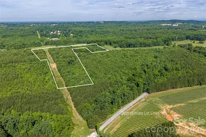 0 Goins Farm Road, Bessemer City, NC 28016 - Photo 3