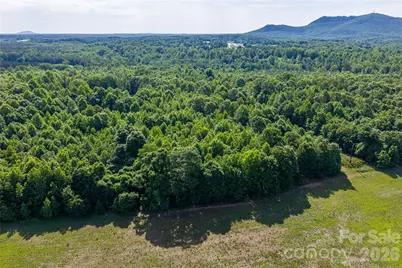 0 Goins Farm Road, Bessemer City, NC 28016 - Photo 15