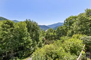 1059 Setzer Cove Rd, Maggie Valley, NC 28751 - Photo 29