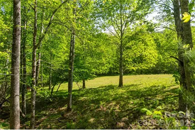 60 Virgels Mountain Road, Burnsville, NC 28714 - Photo 45