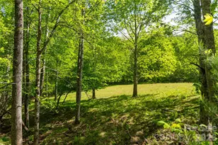 60 Virgels Mountain Rd, Burnsville, NC 28714 - Photo 45