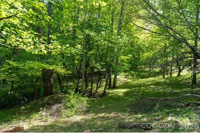 60 Virgels Mountain Road, Burnsville, NC 28714 - Photo 47