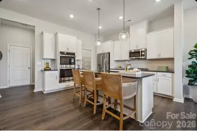 21209 Lake Run Drive, Charlotte, NC 28278 - Photo 5