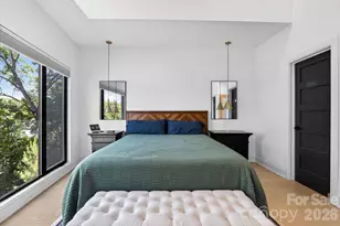 1005 Zinc Ln, Charlotte, NC 28205 - Photo 21
