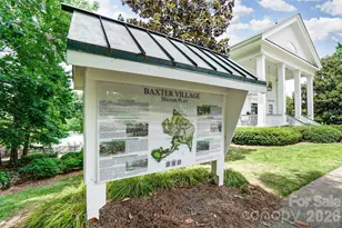 306 Elis Way, Fort Mill, SC 29708 - Photo 47