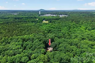971 Stanley Lucia Rd, Mount Holly, NC 28120 - Photo 47