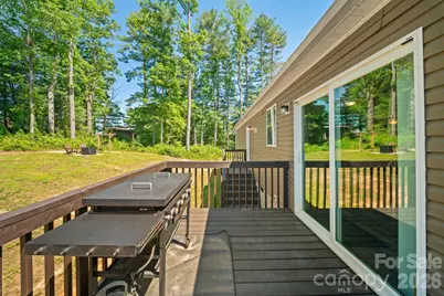 151 Field Sparrow Lane, Hendersonville, NC 28792 - Photo 25
