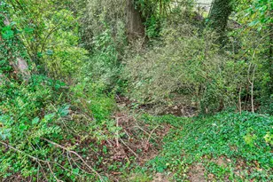 3 Delaware Ave, Asheville, NC 28806 - Photo 47