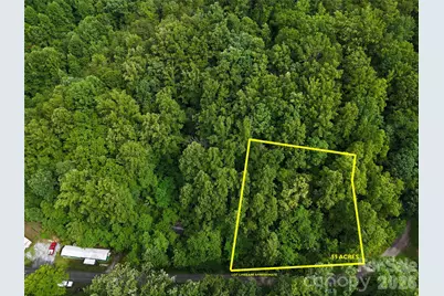 137 Shanty Town Road, Old Fort, NC 28762 - Photo 1
