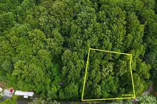137 Shanty Town Rd, Old Fort, NC 28762 - Photo 1