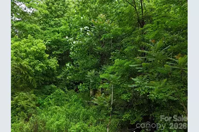 137 Shanty Town Road, Old Fort, NC 28762 - Photo 7