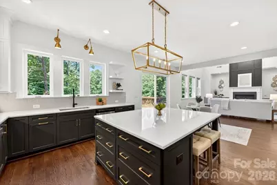 104 Broad Birch Drive, Davidson, NC 28036 - Photo 19