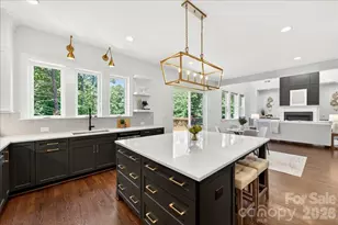 104 Broad Birch Dr, Davidson, NC 28036 - Photo 19