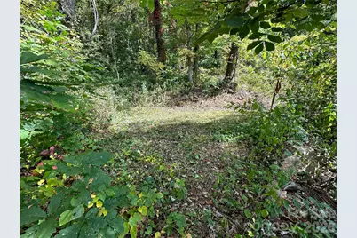 00 High Rock View Drive, Canton, NC 28716 - Photo 11