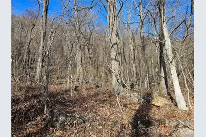 00 High Rock View Drive, Canton, NC 28716 - Photo 15