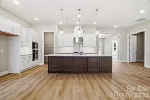 117 Marina Bay Trail, Locust, NC 28097 - Photo 3