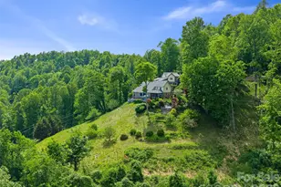 729 Bear Wallow Rd, Little Switzerland, NC 28749 - Photo 45