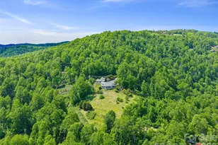 729 Bear Wallow Rd, Little Switzerland, NC 28749 - Photo 9