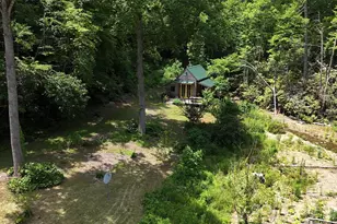 204 Rush Creek Rd, Black Mountain, NC 28711 - Photo 45