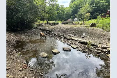 204 Rush Creek Road, Black Mountain, NC 28711 - Photo 7