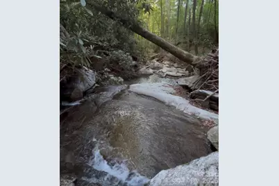 204 Rush Creek Road, Black Mountain, NC 28711 - Photo 25
