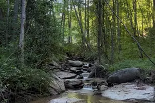 204 Rush Creek Rd, Black Mountain, NC 28711 - Photo 23