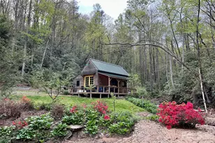 204 Rush Creek Rd, Black Mountain, NC 28711 - Photo 3