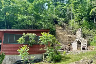 204 Rush Creek Rd, Black Mountain, NC 28711 - Photo 47