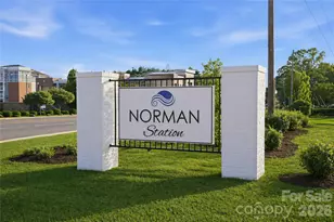 106 Nablus Trl, Mooresville, NC 28117 - Photo 3