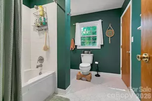 113 Byrd Ln, Brevard, NC 28712 - Photo 17