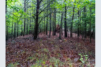 00 Bee Gee Lane, Rutherfordton, NC 28139 - Photo 9