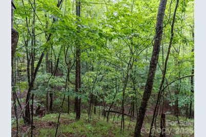 00 Bee Gee Lane, Rutherfordton, NC 28139 - Photo 13