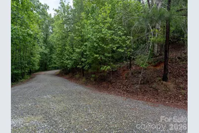 00 Bee Gee Lane, Rutherfordton, NC 28139 - Photo 7