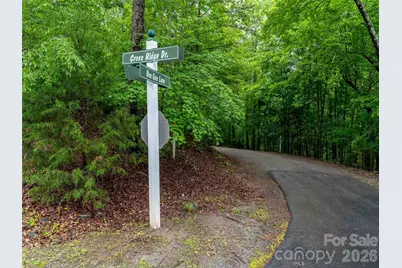 00 Bee Gee Lane, Rutherfordton, NC 28139 - Photo 5