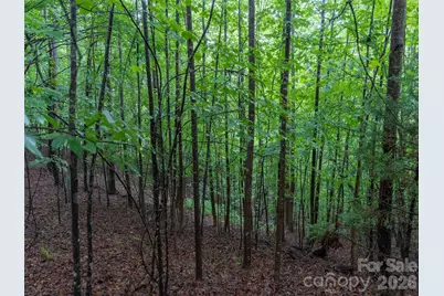 00 Bee Gee Lane, Rutherfordton, NC 28139 - Photo 11