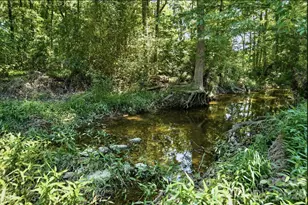 7217 Tesh Rd, Monroe, NC 28110 - Photo 43