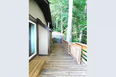 314 Blackberry Lane, Clyde, NC 28721 - Photo 23