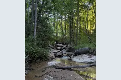 Tbd Lot 3 Rush Creek Road, Black Mountain, NC 28711 - Photo 3
