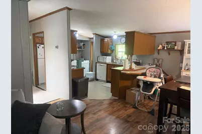 811 Turkey Pen Gap Road, Horse Shoe, NC 28742 - Photo 15