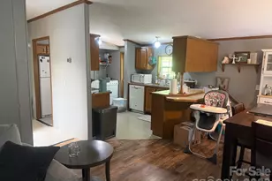 811 Turkey Pen Gap Rd, Horse Shoe, NC 28742 - Photo 15