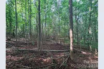Lot 3 Schenck Farm Road, Lawndale, NC 28090 - Photo 5