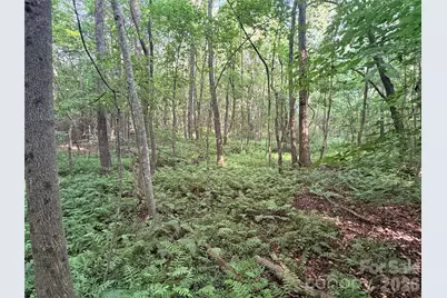 Lot 3 Schenck Farm Road, Lawndale, NC 28090 - Photo 11