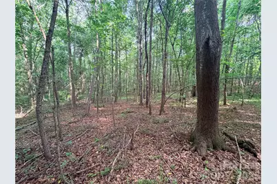 Lot 3 Schenck Farm Road, Lawndale, NC 28090 - Photo 7