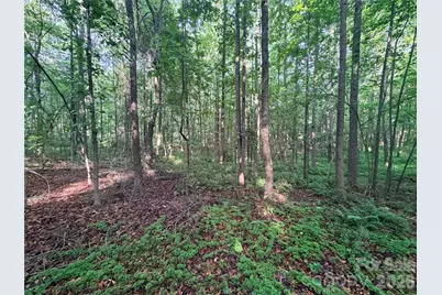 Lot 3 Schenck Farm Road, Lawndale, NC 28090 - Photo 9